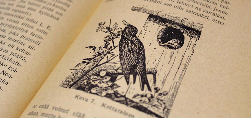 Piirroskuva kottaraisesta kirjassa.