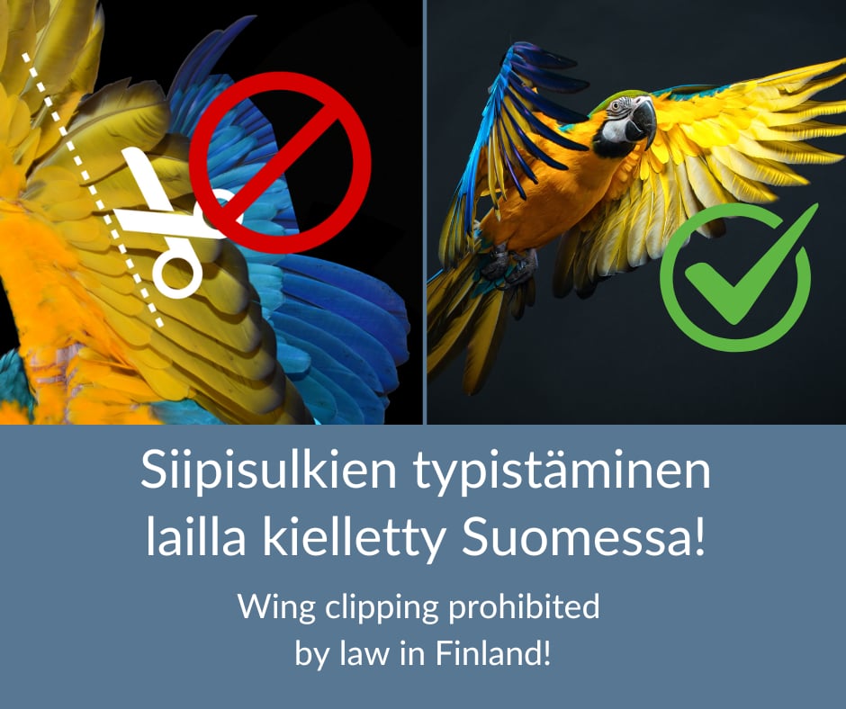Siipisulkien klippaus on Suomessa kiellettyä.