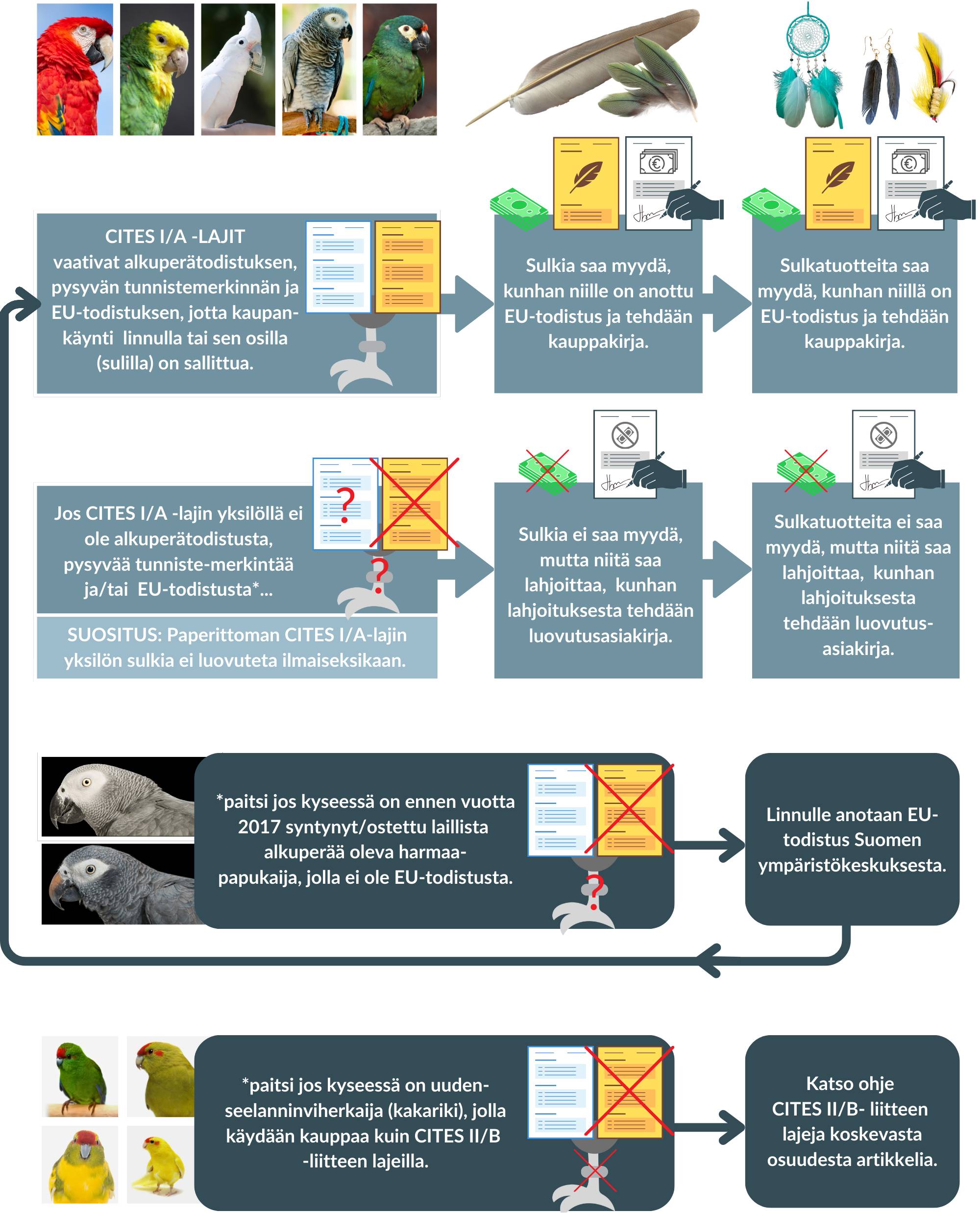 Grafiikka, jossa esitetään yksinkertainen versio kaupasta CITES I/A-lajien sulilla.