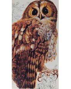 Valitut Palat lintukirja