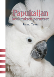 Papukaijan koulutuksen perusteet?